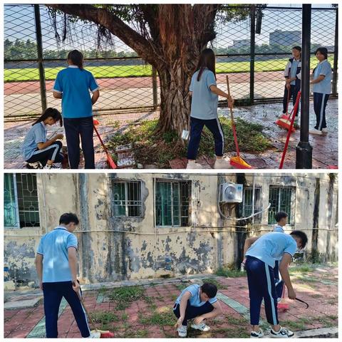 劳动中的学生，真美