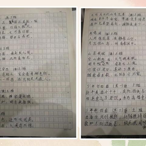 2023年暑假社会实践   601  晨曦中队  秦欢欢