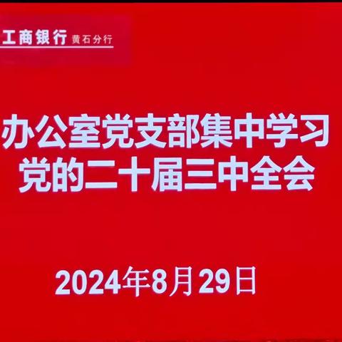 办公室党支部集中学习 党的二十届三中全会