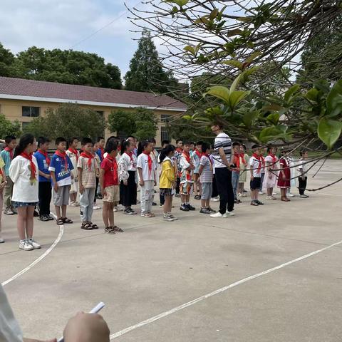 南华小学招生简章