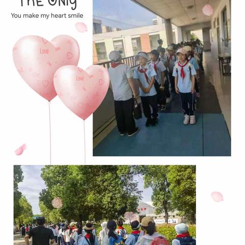 探索自然之美，我的研学之旅