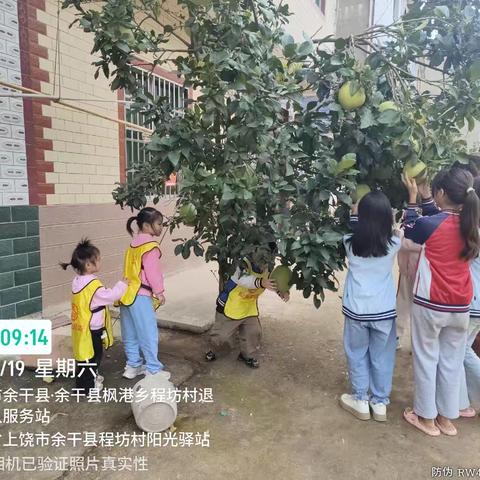 10月19日余干县枫港乡阳光驿站开展“秋日探秘 指尖拾趣”户外主题活动