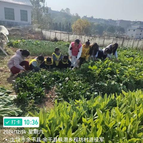 余干县枫港乡程坊村阳光驿站开展“感恩自然 礼赞丰收”主题活动