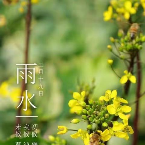 节气之美润童心 学科融合促成长—西影路小学小青松成长记之节气篇（雨水）