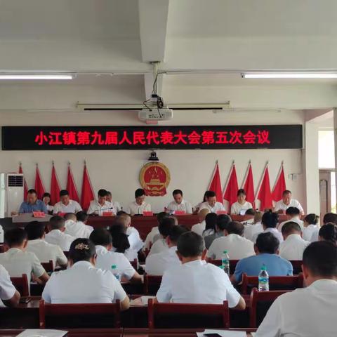 凝心聚力谋发展，勇毅笃行谱新篇 ——小江镇第九届人民代表大会第五次会议胜利召开！