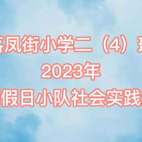 厉行节约反对浪费 爱护环境从我做起 ——落凤街小学二（4）班暑期假日小队社会实践活动