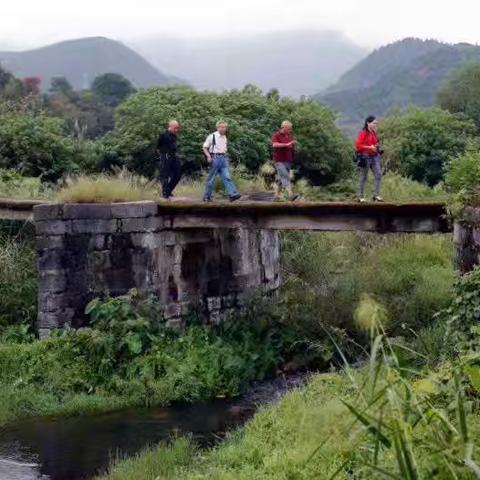 湖南旅游：国家4A级资兴市回龙山景区桃源洞〔典籍〕鉴赏