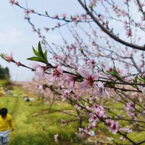 春暖花开“趣”春游