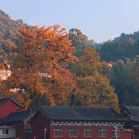 文殊寺之秋（二）