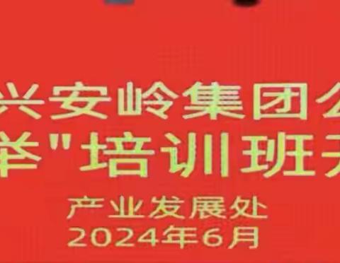 大兴安岭林业集团公司举办“林下经济和旅游业两业并举”培训班