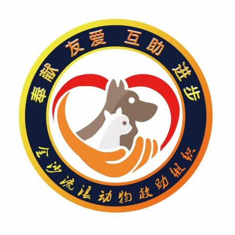 金沙流浪动物救助组织的简篇