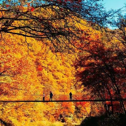 10月5日抚顺筐子沟赏枫一日游