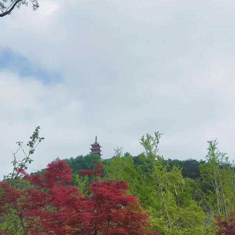 人生旅途，贵人无处不在