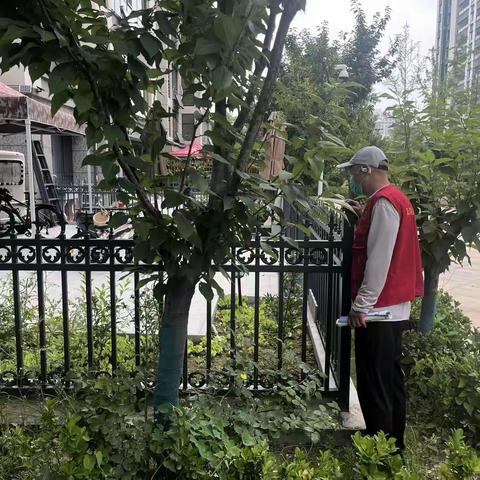 幸福里社区开展禁毒宣传与踏查专项行动
