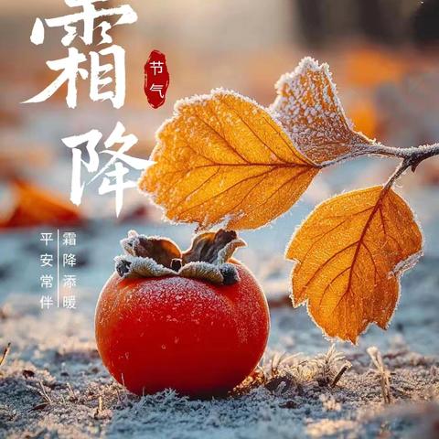 🍁识节气，知霜降❄️——文汇街道中心幼儿园托班霜降节气活动🍁