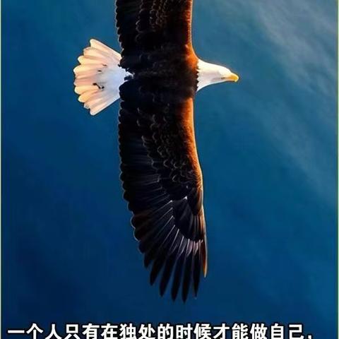 10.20观图悟道，感谢仙游一中老同学杨新华主任律师分享在个人微信上的富有哲理的图片