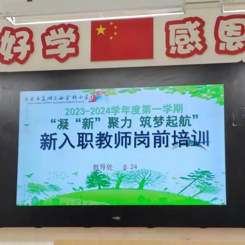 凝“新”聚力，筑梦启航——2023-2024学年度第一学期新入职教师岗前培训