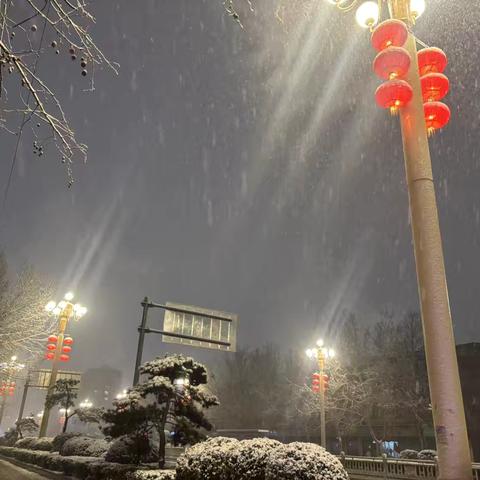 雪落无声，守护有情——致敬幸福家园最美扫雪人