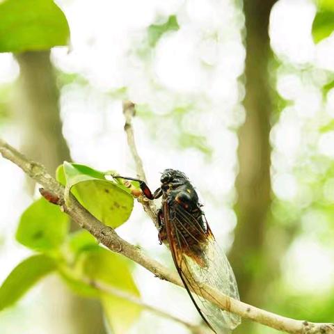 暑假生活点滴——王橙阳