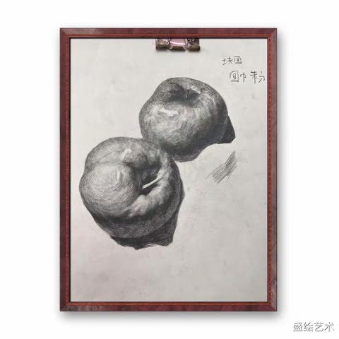 盛绘艺术机构素描工作室线上展览（二）