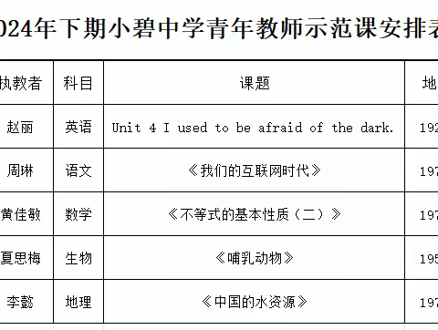 “青春风采，示范引领”——娄星区小碧中学青年教师示范课