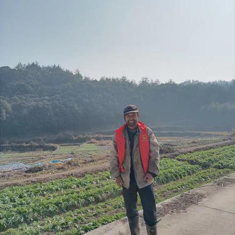 香山红叶的简篇