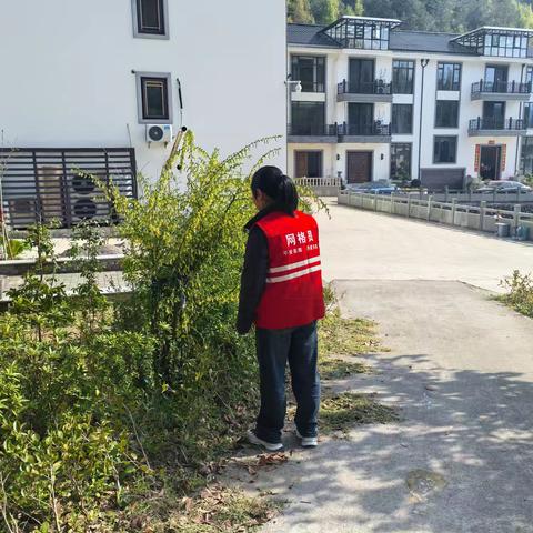 香山红叶的简篇