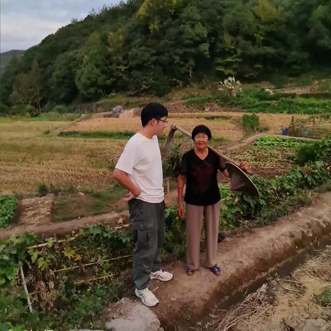 香山红叶的简篇