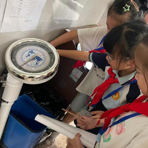 班级文化展风采，环境卫生润无声