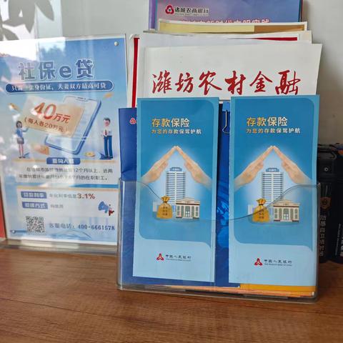诸城农商行兴华路支行开展存款保险宣传活动