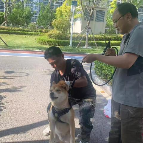 免费注射狂犬疫苗活动ing-