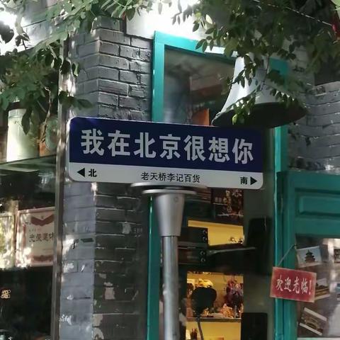 我的假期之旅