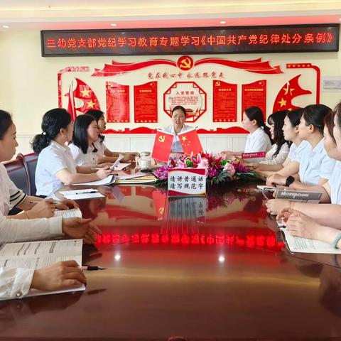 三幼党支部2024年5月份主题党日活动