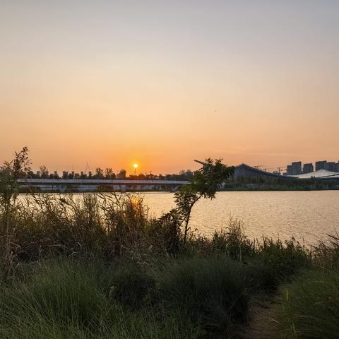 夕阳一点红如豆已把相思写满天