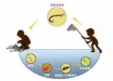 【每日健康】【全民健康网格化服务】中国公民健康素养第十三条