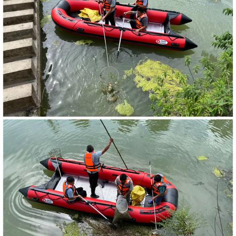 河道整治美环境，水清岸绿展新颜 ——王寨镇新时代文明实践所组织开展河道卫生整治活动