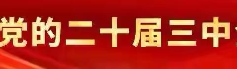 会议部署抓落实 人居环境焕新颜——定昌镇1月20日工作动态