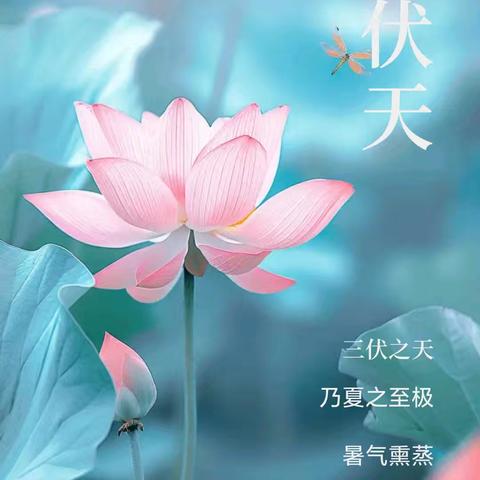 盛夏日，力高陪您畅爽一夏天