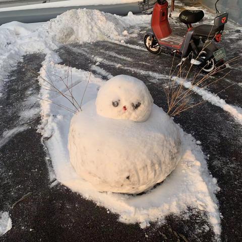 扫雪除冰保平安，安全生产是关键