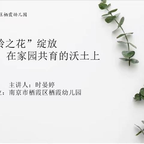 20240422师德师风讲座截图