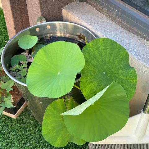 “相约六月🌸,快乐时光✨”——栗雨十二幼小二班六月美篇