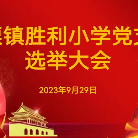 勠力同心谱新章 奋楫扬帆再启航——上栗镇胜利小学党支部选举大会