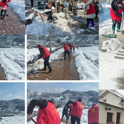 闻雪而动 ——坦洪乡 未雨绸缪暖人心 多措并举见行动