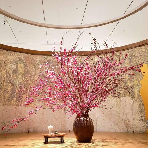 六识茶学之～五感花事