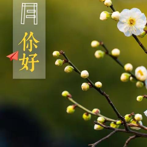 水榭花都小区3月工作简报