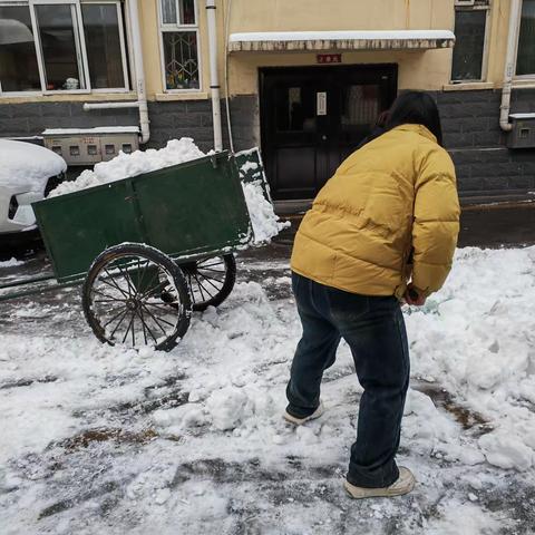 雪天清理路面积雪，冬季防寒抗冻小知识