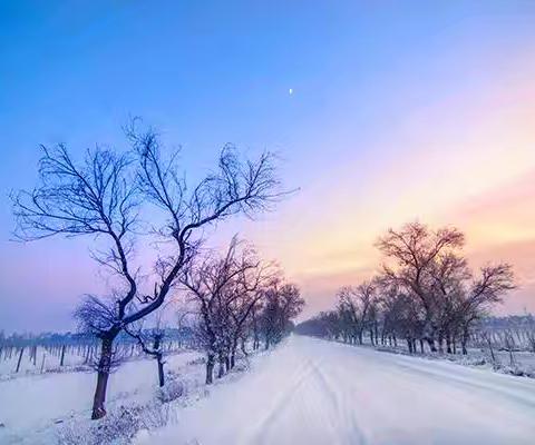 冬季养生吃什么