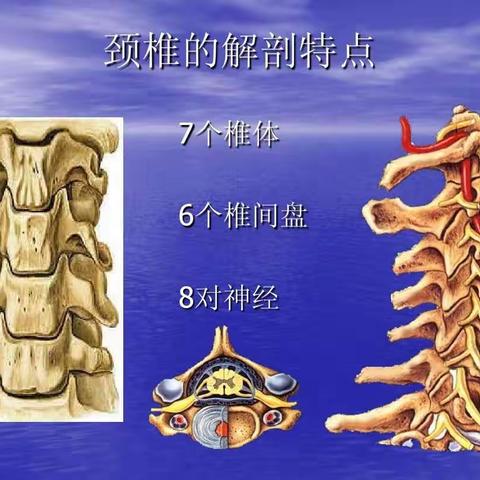 颈椎病的分型及鉴别方法