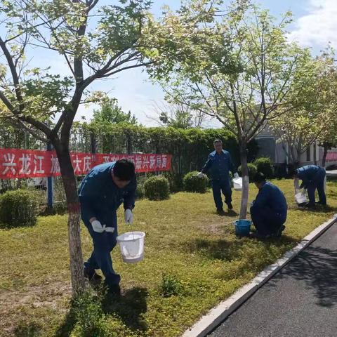 大庆热电开展厂区绿化主题党日活动