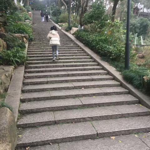 爬山运动